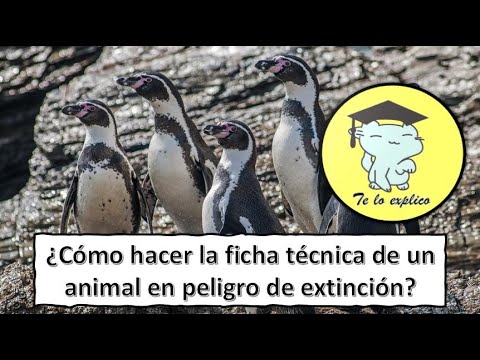 Descubre cómo hacer una ficha de animal perfecta en simples pasos