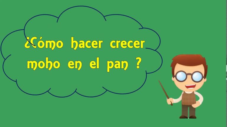 Truco secreto: Crea moho en el pan deprisa