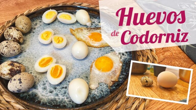 Trucos prácticos para hacer un delicioso huevo de codorniz en casa