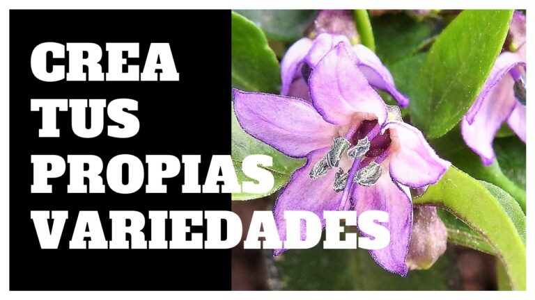 Descubre cómo hacer híbridos de plantas con estos simples pasos